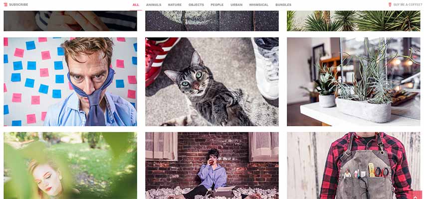 Gratisography Free Stock Photo