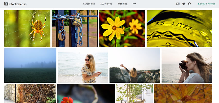 StockSnap Free Stock Photo