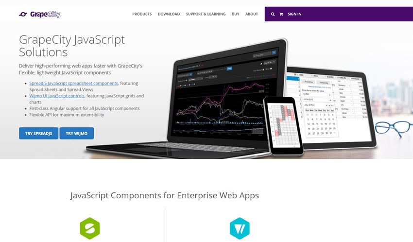 GrapeCity JavaScript Solutions