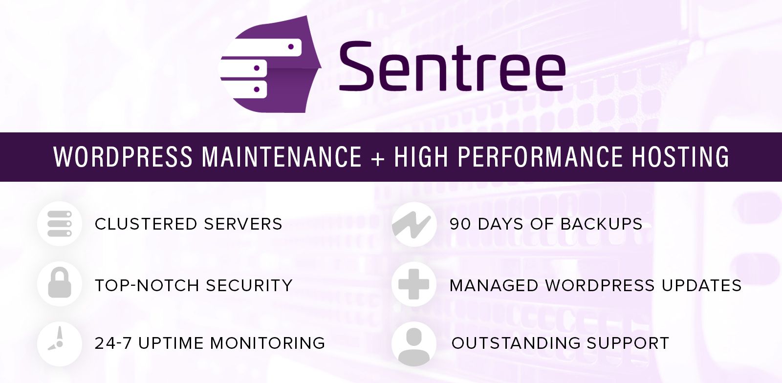 Sentree Managed Hosting with WordPress Maintenance