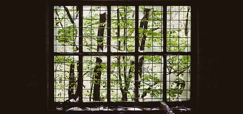 Freedom Is a Relative Term