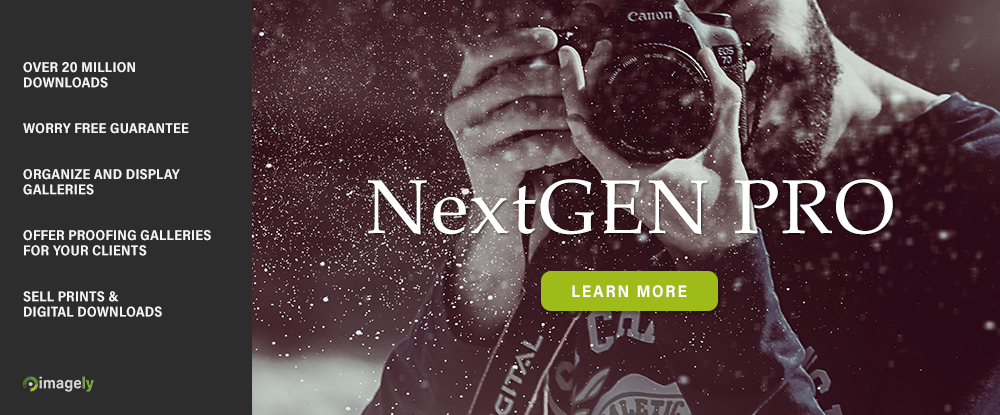 NextGEN Gallery &NextGEN Pro