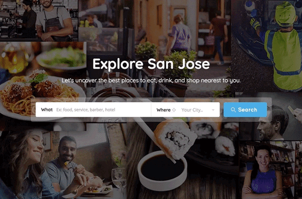 WordPress Directory Plugin Theme
