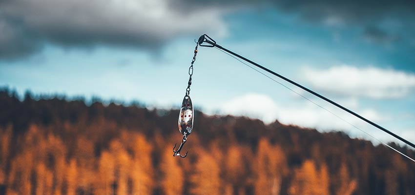 Big providers have made a bait-and-switch with their product terms.