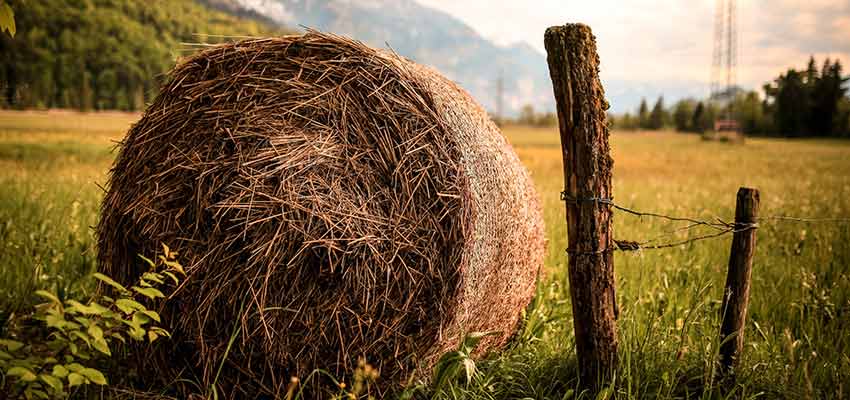 Finding a needle in this hay is easier than finding a site that doesn't call to Google.