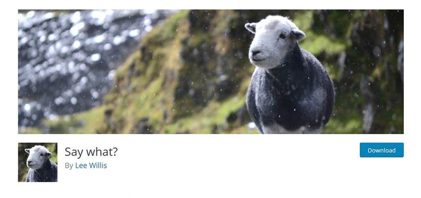 Say What? WordPress Plugin