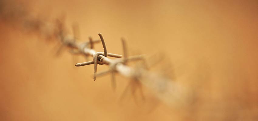 A barbed wire fence
