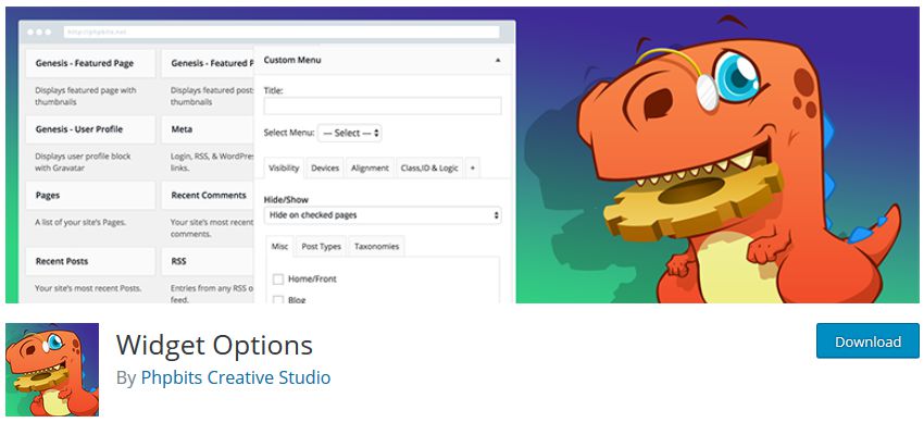 Widget Options wordpress php