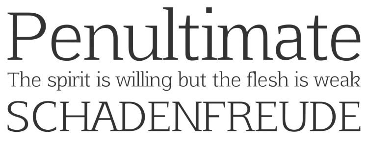 Afta serif free font family typeface