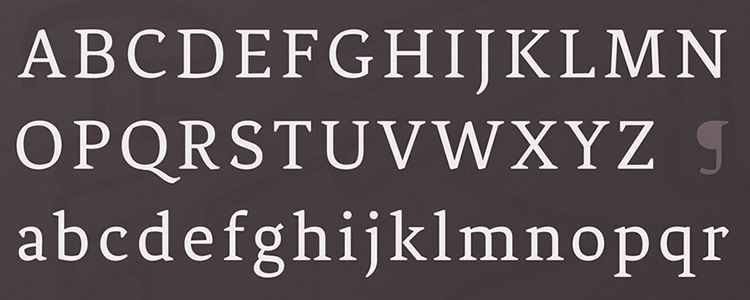 F&eacute;nix Regular serif free font family typeface