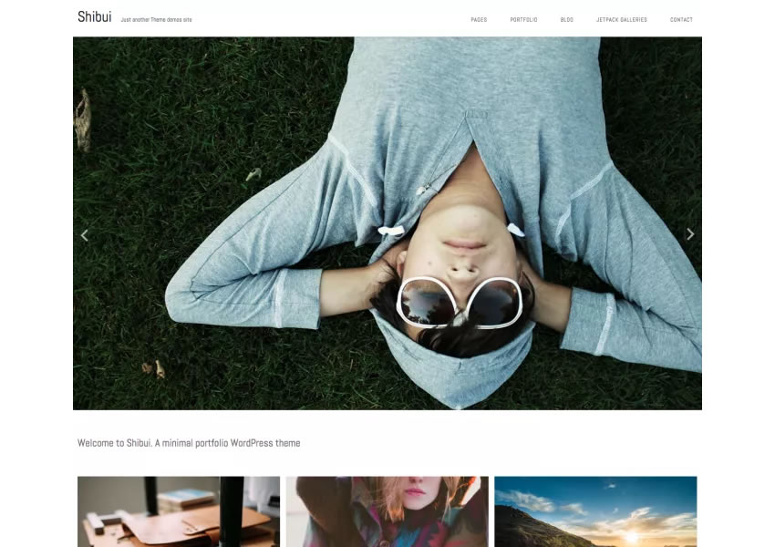 Shibui Minimalist free wordpress theme wp responsive creative designer agency portfolio camera