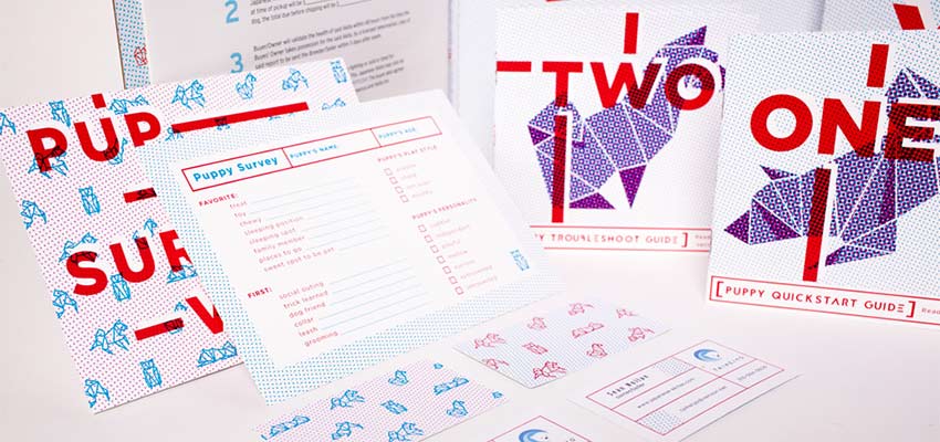 Taiheiyo Kensha Branding Project