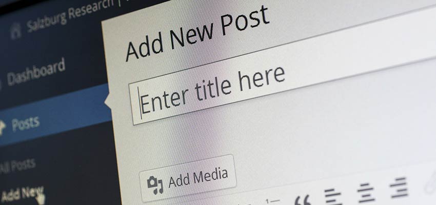 The WordPress Post Edit Screen