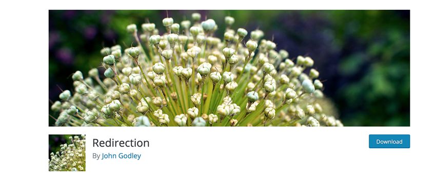 wordpress redirection