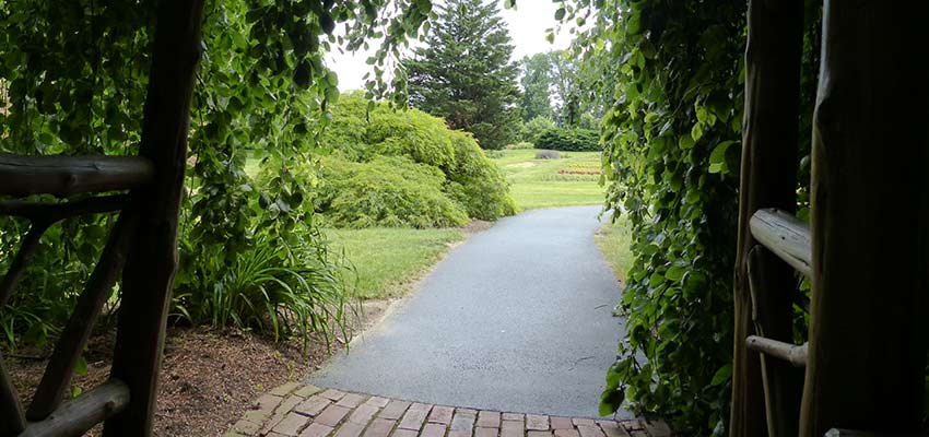 A garden pathway.