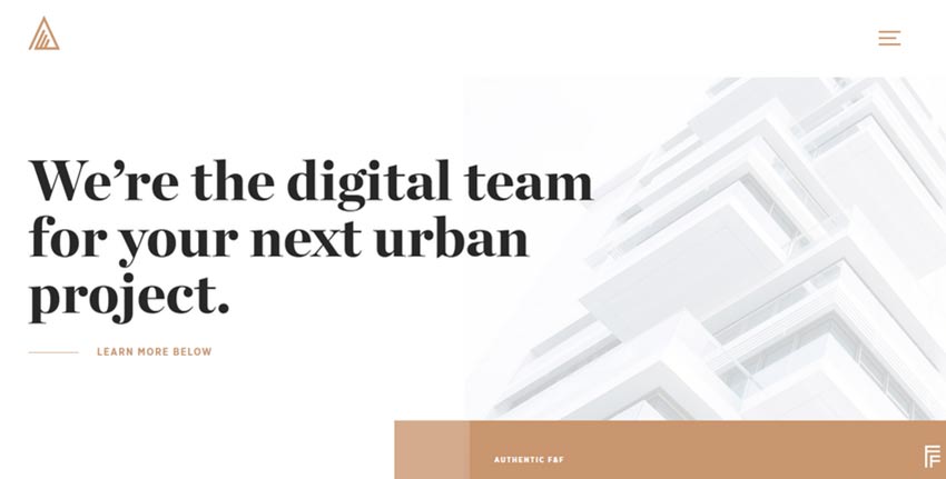 Example from Authenticff