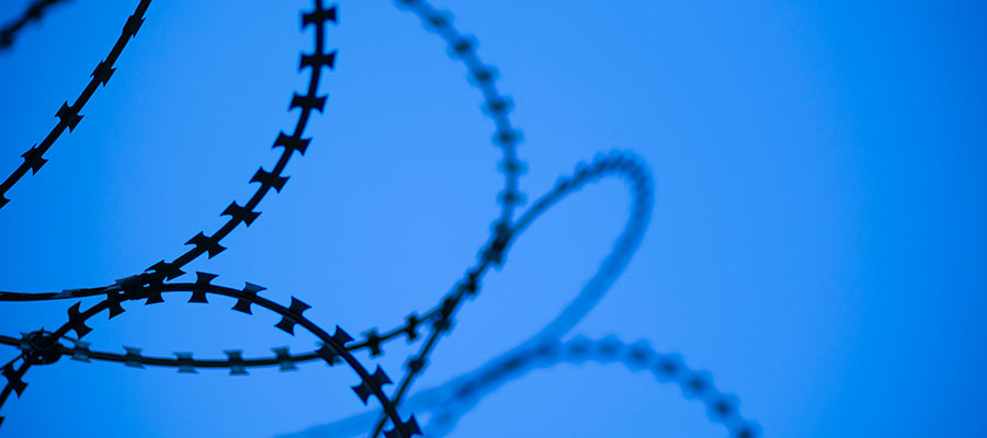 A barbed wire fence.