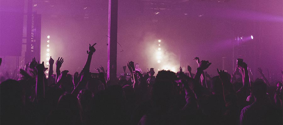 A cheering crowd at a concert.