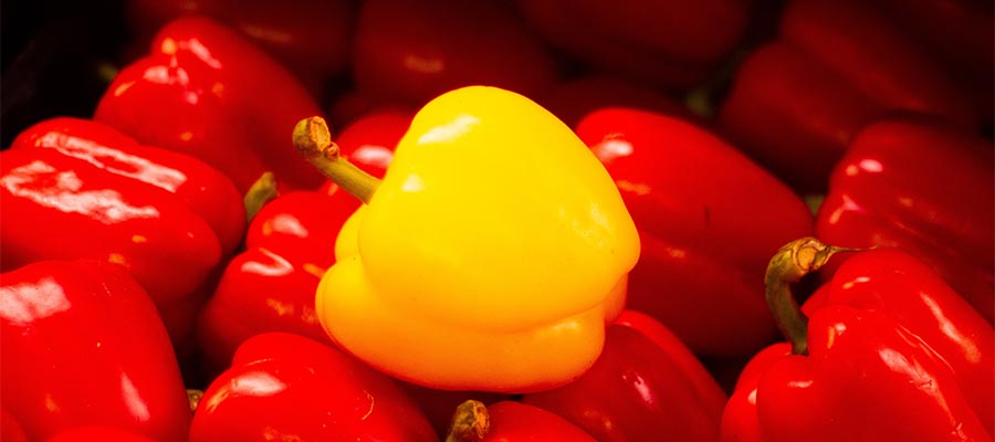 Look for clients that fit within your niche - unless you want to expand your horizons.