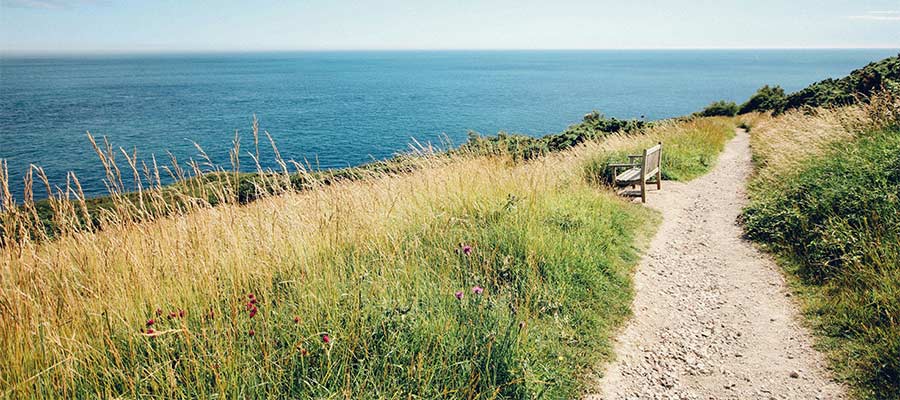 Freelancers get to choose their own path.