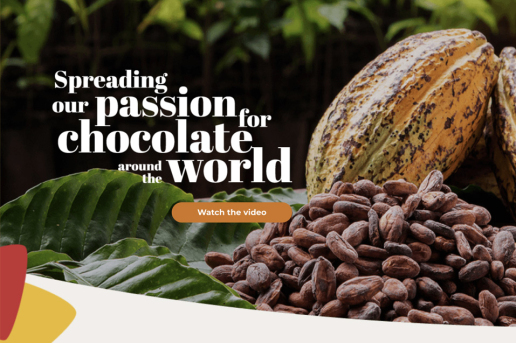 Natra: new corporate website website by Ensegna